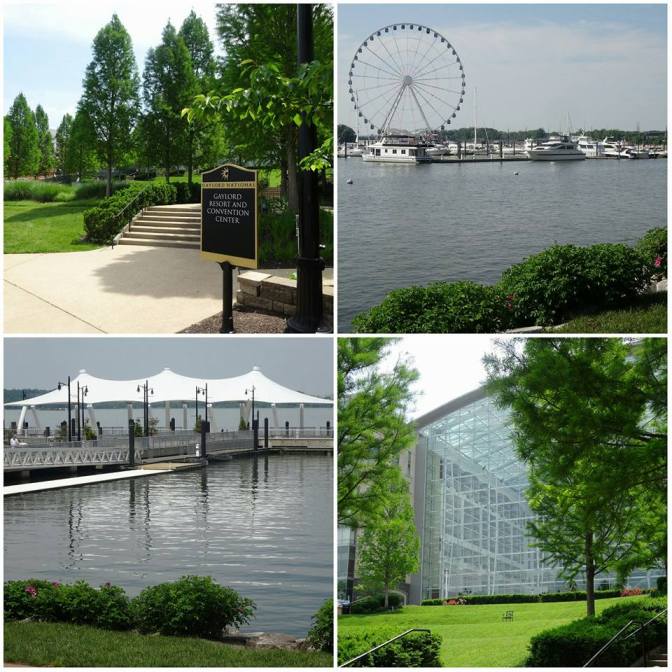 13254242_638696079622883_1524091080263210474_n