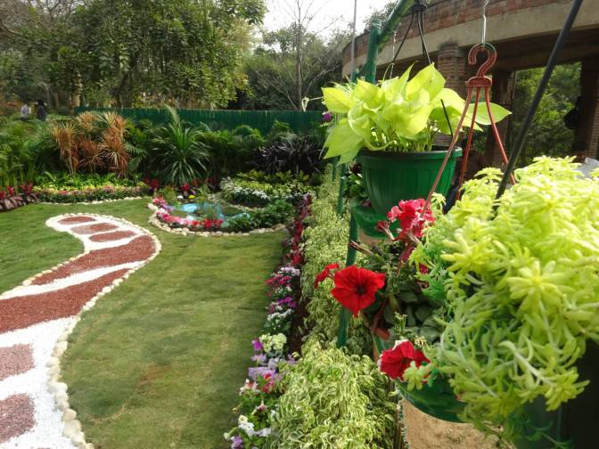 10984512_443261735832986_2665000624666995507_o