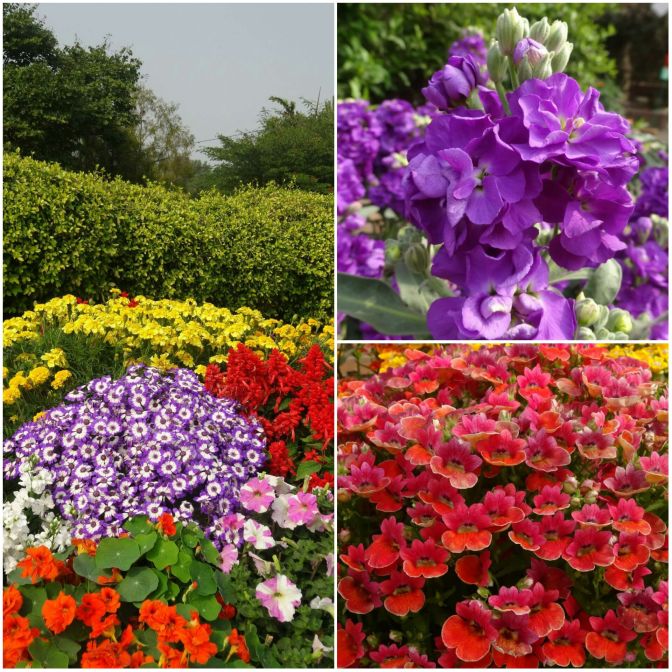 16707665_777521242407032_5470952757498157236_o