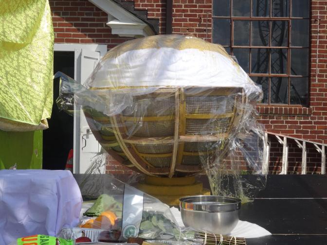 21055362_886034581555697_2833081782012561935_o