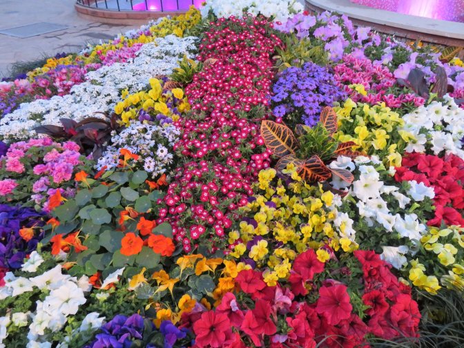 27913028_974983612660793_7803289557895456362_o