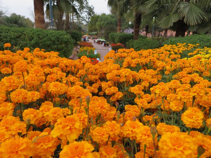 27982686_974982412660913_5740334136790806770_o